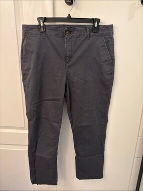 LOFT Dark Charcoal Cropped Ankle Chinos - “The Monroe Slim”